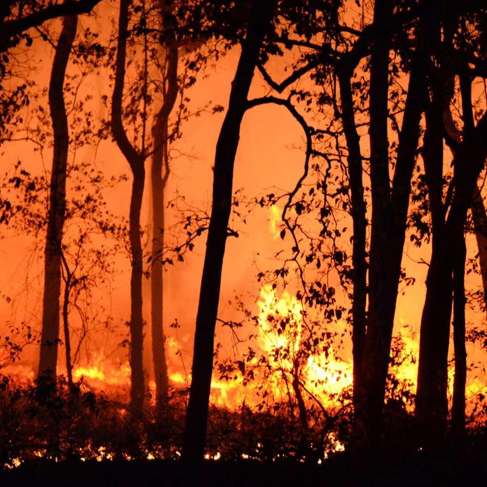 Incendios forestales