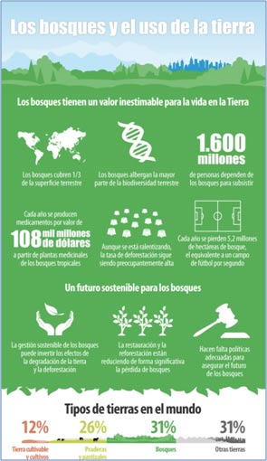 Los bosques y el uso de la tierra